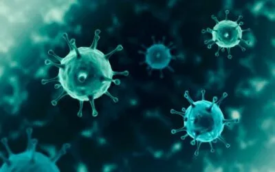Wills and coronavirus